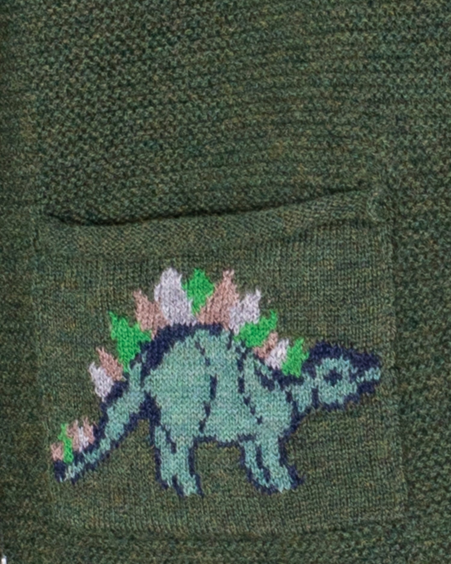 Benjamin Dinosaur Hunter Hooded Sweater Bernard Outfit